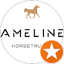 Foto de perfil de Carrosserie Ameline