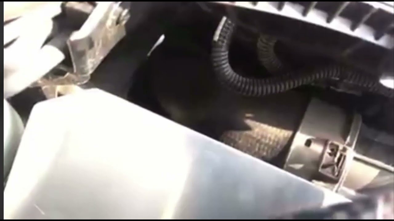 youtube placeholder image
